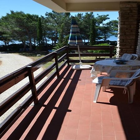 Apartments Kurta Privlaka  Εξωτερικό φωτογραφία