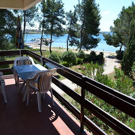 Apartments Kurta Privlaka  Εξωτερικό φωτογραφία